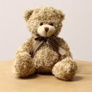 Osito de peluche